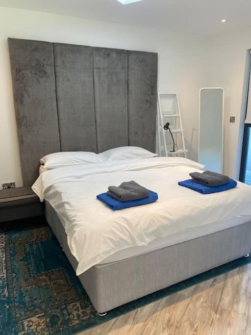 Beautiful Garden Apartment With Private Patio And Garden View Dublin Bagian luar foto