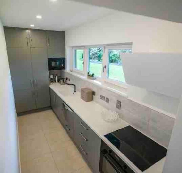 Beautiful Garden Apartment With Private Patio And Garden View Dublin Bagian luar foto
